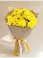 Солнечный акцент