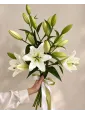 Букет «Белая элегия» из 3 белых лилий — Николь Букет