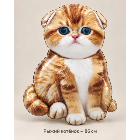 Шар «Рыжий котёнок», 86 см — Ростов-на-Дону